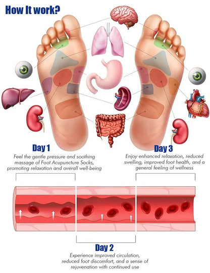 Reflexology Chart Socks With Tool | GREAT DEAL 30% OFF TODAY